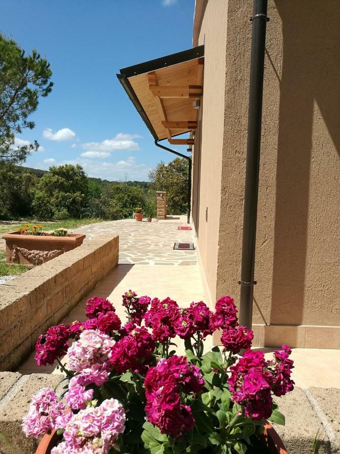 Vila Sonnellino In Maremma Massa Marittima Exteriér fotografie