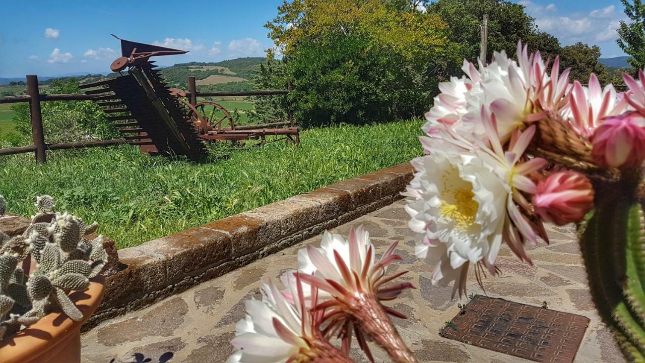 Vila Sonnellino In Maremma Massa Marittima Exteriér fotografie